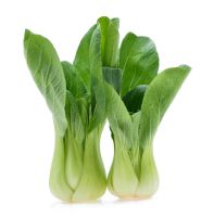 bok choy leaf suppliers thailand