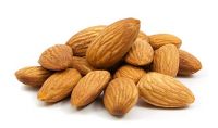 suppliers of almond nuts