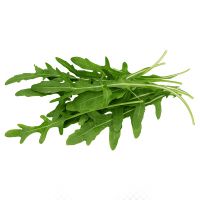 https://www.tradekey.com/product_view/Arugula-Leaf-Suppliers-From-China-9842085.html