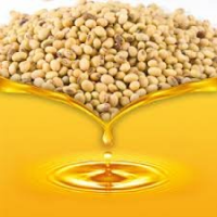 quality and Refined Soybean Oil