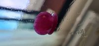 Natural Mozambique Ruby Unheated