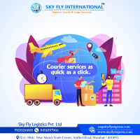 Sky Fly Domestic & International Courier , Cargo Services , 