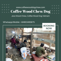 Coffee Tree Bone Chew Stick For Dogs Made Of Coffee Wood