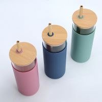 500ml Glass Water Bottle With Bamboo Lid And Straw