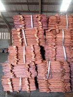 cheap copper sheet scrap copper plate 99.99 copper cathodes in stock