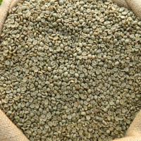 Best quality Green Coffee Beans CAMEROUN NATURALE GG SC.18/20 (GRADE 1) Robusta ready to export