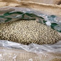 Coffee products green coffee beans robusta common coffe beans robusta green coffee