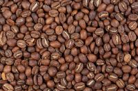 Green coffee beans premium quality Robusta S16 of capital coffee