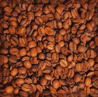 Organic Coffee High Quality Organic Coffee Whole Grain and Enriched Taste Best Flavored Raw Coffee Beans