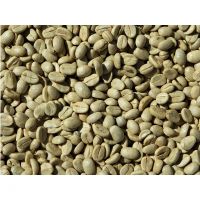 Robusta Coffee Beans 100% Roasted Premium