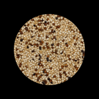 Shop QUINOA SEEDS Online | Organic Quinoa Pseudocereal Grains