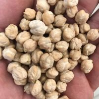 Great quality chickpeas available for sale