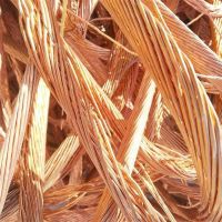 Copper Wire Scrap Mill-Berry/ Bare Bright Copper Scrap 99.99% for Sale