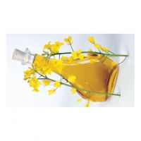 Canola Oil Vegetable Oil Bottling Private label