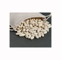 White Kidney Beans Best Quality in Bulk with Cheap Price