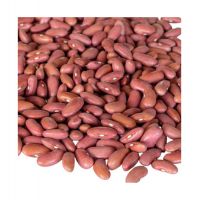 Red Kidney Beans Wholesale long shape Purple High Quality 