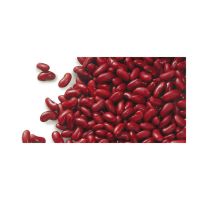 Factory Price High Quality Red Speckled Kidney Bean 