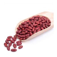 Wholesale Supplier Best Quality kidney Beans 