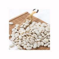 Premium White Kidney Beans Agriculture Products