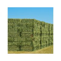 Alfalfa Hay for Animal Feeding /alfalfa hay pellets /Timothy Hay in Bales