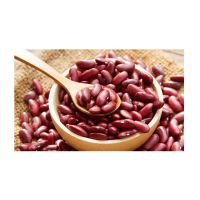Quality Small Red Kidney Beans Dark For Wholesale