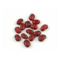 Wholesale Supplier Red kidney Beans For Sale 