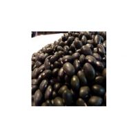 Black Kidney Beans available for sale in wholesale 