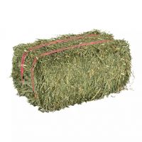 Quality alfalfa hay bays / Alfalfa pellets / Dehydrated Alfalfa 