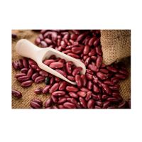 Wholesale Top Grade Red kidney Beans For Sale In Cheap Rate 