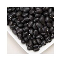 High-quality black kidney beans for sale in bulk direct from farms