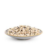 Premium New Crop White Cowpea Vigna Beans