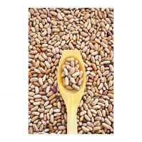 Long Shape Pinto Beans- New Harvest