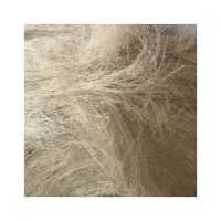 Long sisal fiber for textile and fabric industries