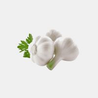 Farm-fresh Garlic available in large quantities for export