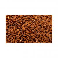 Almond nuts for sale in bulk packaging at competitive rates