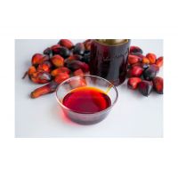 Wholesale palm oil in 1L, 5L, and 20L containers