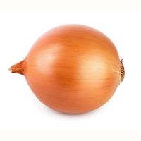 High-quality yellow onions for cooking and processing
