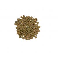 Low-priced Green Lentils for wholesale buyers