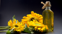 Crude sunflower oil for animal feed and agricultural purposes