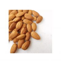 Raw Almond Nuts for snacking, baking, and cooking needs