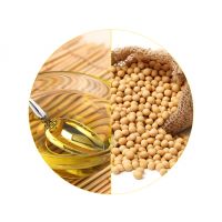Bottled and bulk soybean oil for international markets