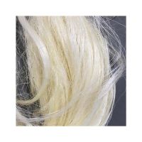 Raw sisal fiber for export and commercial supply