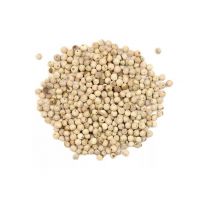 Fine-milled white pepper powder for sale in large quantities