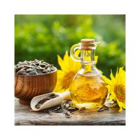 Wholesale sunflower oil available at competitive prices
