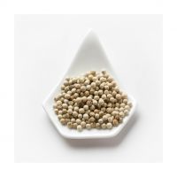 Hot and spicy white pepper for seasoning wholesale orders accepted