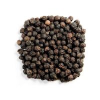Premium Black Pepper for sale at wholesale prices