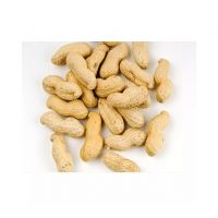 Blanched peanuts for easy use in recipes and food processing