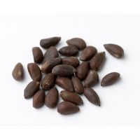 Premium cotton seeds for agricultural use at a low price