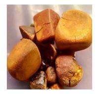 Bulk cattle gallstones for buyers and suppliers