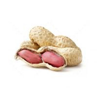 Premium roasted peanuts for a crunchy and tasty treat
